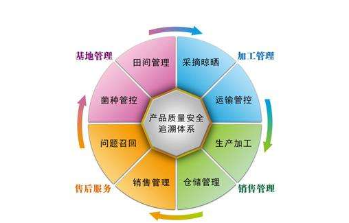 产品追溯系统 主流开发商与技术创新路径